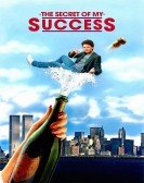 poster_the-secret-of-my-success_tt0093936.jpg Free Download