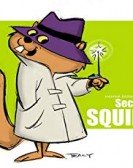 The Secret Squirrel Show poster