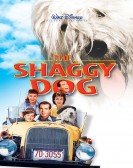 The Shaggy Dog poster