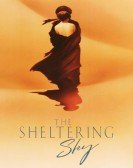 poster_the-sheltering-sky_tt0100594.jpg Free Download