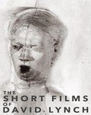 The Short Films of David Lynch Free Download