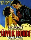 poster_the-silver-horde_tt0021374.jpg Free Download