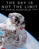 poster_the-sky-is-not-the-limit_tt6368028.jpg Free Download