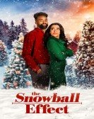 poster_the-snowball-effect_tt19751484.jpg Free Download