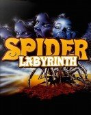 The Spider Labyrinth Free Download