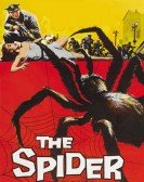 poster_the-spider_tt0051570.jpg Free Download