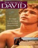 The Story of David Free Download