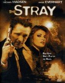 The Stray poster