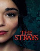 poster_the-strays_tt16437278.jpg Free Download