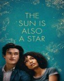 The Sun Is Also a Star Free Download