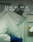 The Surge at Mount Sinai Free Download