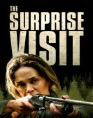 The Surprise Visit Free Download