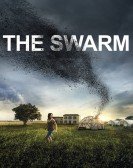 poster_the-swarm_tt10675724.jpg Free Download