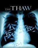 poster_the-thaw_tt1235448.jpg Free Download