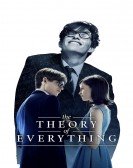 poster_the-theory-of-everything_tt2980516.jpg Free Download