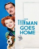 The Thin Man Goes Home Free Download