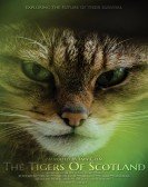 The Tigers of Scotland Free Download