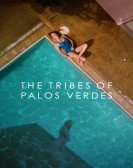 The Tribes of Palos Verdes (2017) Free Download