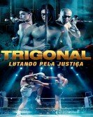 The Trigonal: Fight for Justice poster