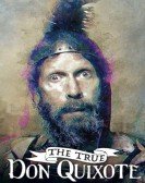 poster_the-true-don-quixote_tt6863222.jpg Free Download