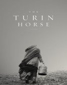 The Turin Horse (2011) poster