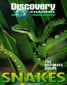 The Ultimate Guide: Snakes Free Download