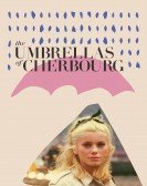 The Umbrellas of Cherbourg Free Download