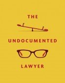 The Undocumented Lawyer Free Download