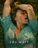 poster_the-wait_tt12453124.jpg Free Download