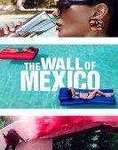 The Wall of Mexico Free Download