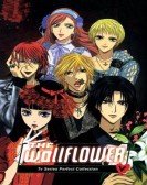 The Wallflower poster