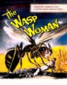 poster_the-wasp-woman_tt0054462.jpg Free Download