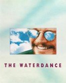 poster_the-waterdance_tt0105789.jpg Free Download