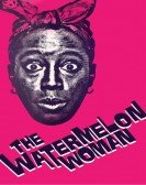 The Watermelon Woman Free Download