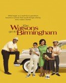 The Watsons Go to Birmingham (2013) poster