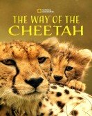 poster_the-way-of-the-cheetah_tt17424152.jpg Free Download