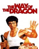 poster_the-way-of-the-dragon_tt0068935.jpg Free Download