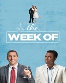 The Week Of (2018) poster