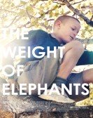 The Weight of Elephants poster