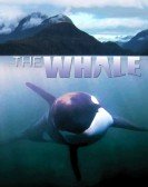 poster_the-whale_tt1708537.jpg Free Download