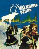 Valkoinen pe poster