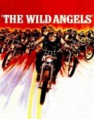 The Wild Angels poster