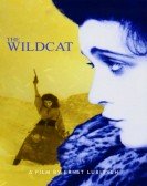 poster_the-wildcat_tt0011960.jpg Free Download