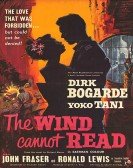 The Wind Cannot Read poster