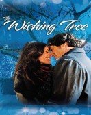 poster_the-wishing-tree_tt2339739.jpg Free Download