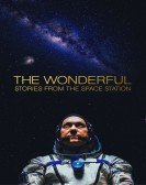 The Wonderful: Stories from the Space Station Free Download