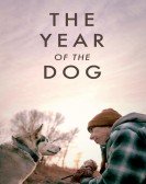 poster_the-year-of-the-dog_tt18362444.jpg Free Download