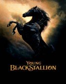 poster_the-young-black-stallion_tt0318850.jpg Free Download