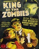 The Zombie K poster