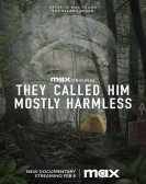 poster_they-called-him-mostly-harmless_tt31049718.jpg Free Download